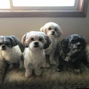 Meet your Posher, Rhonda